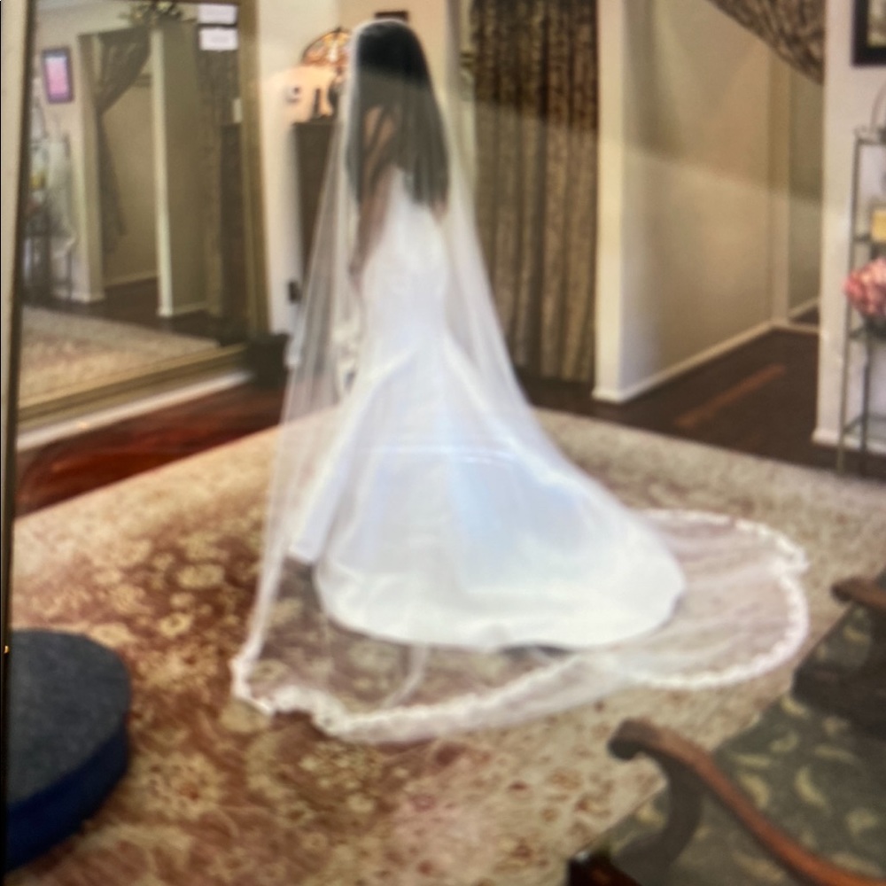 Gorgeous French lace veil